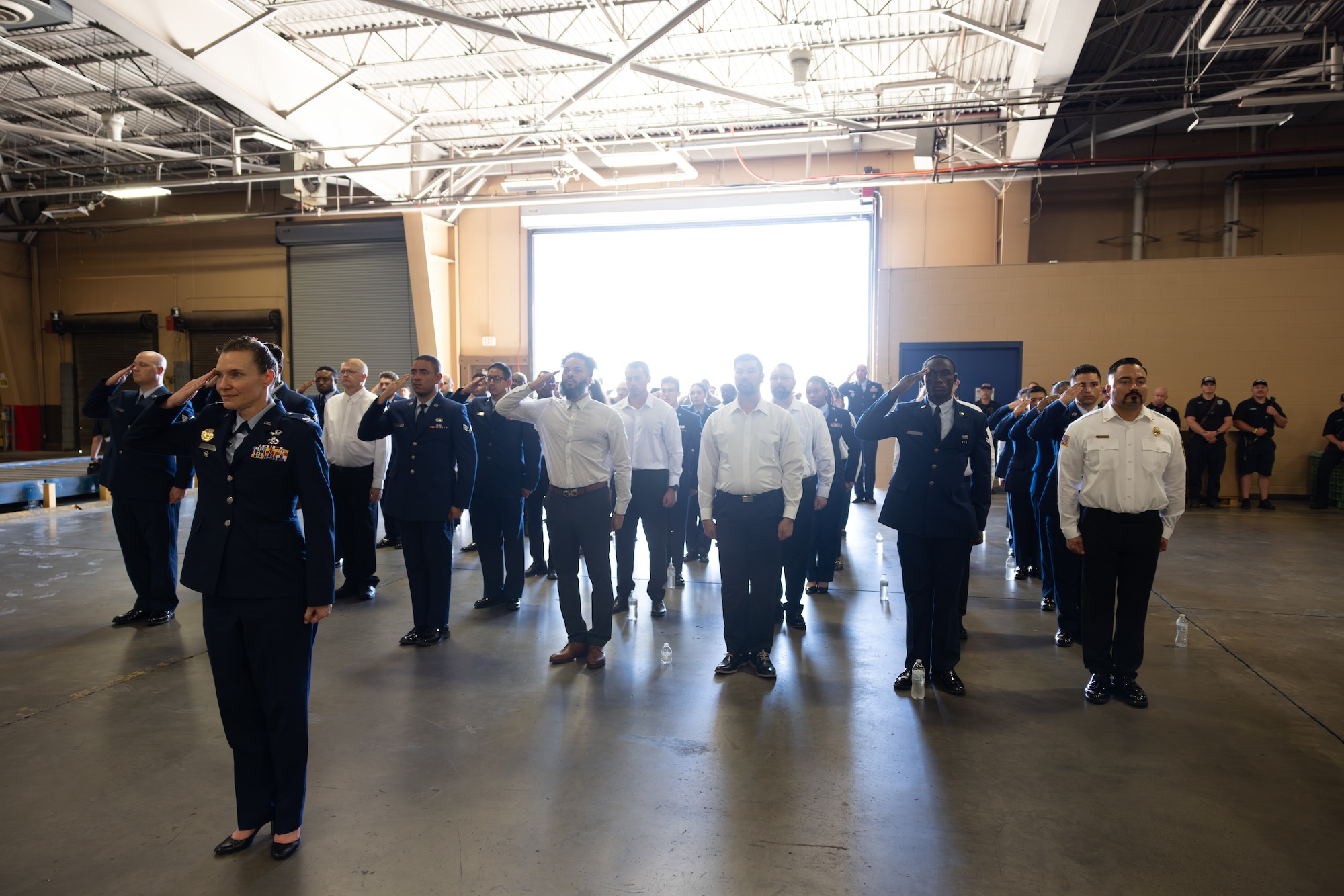Group of people saluting.