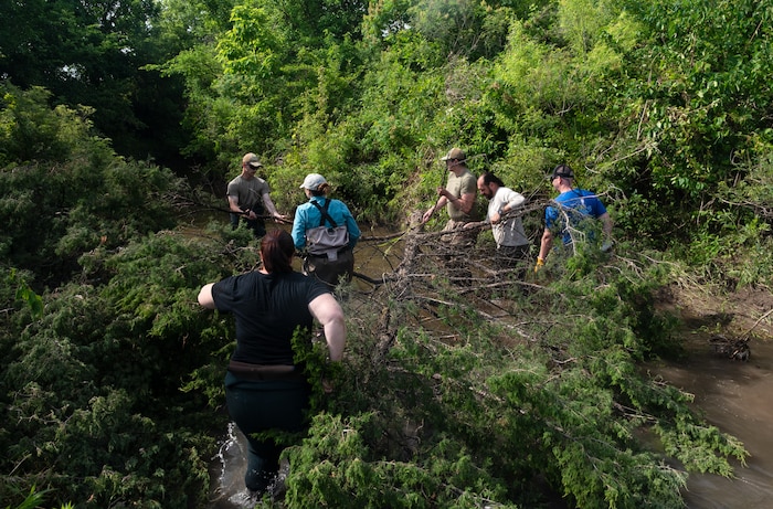 Airmen and civilians from the 22nd Civil Engineer Squadron, U.S. Fish and Wildlife Service, and Center for Environmental Management of Military Lands drag a red cedar through a creek during a bank revetment project June 11, 2025, at McConnell Air Force Base, Kansas. A bank revetment attaches trees to the shoreline, which trap dirt and sediment, allowing plant life to grow and their roots to stabilize the bank. (U.S. Air Force photo by Staff Sgt. Tryphena Mayhugh)