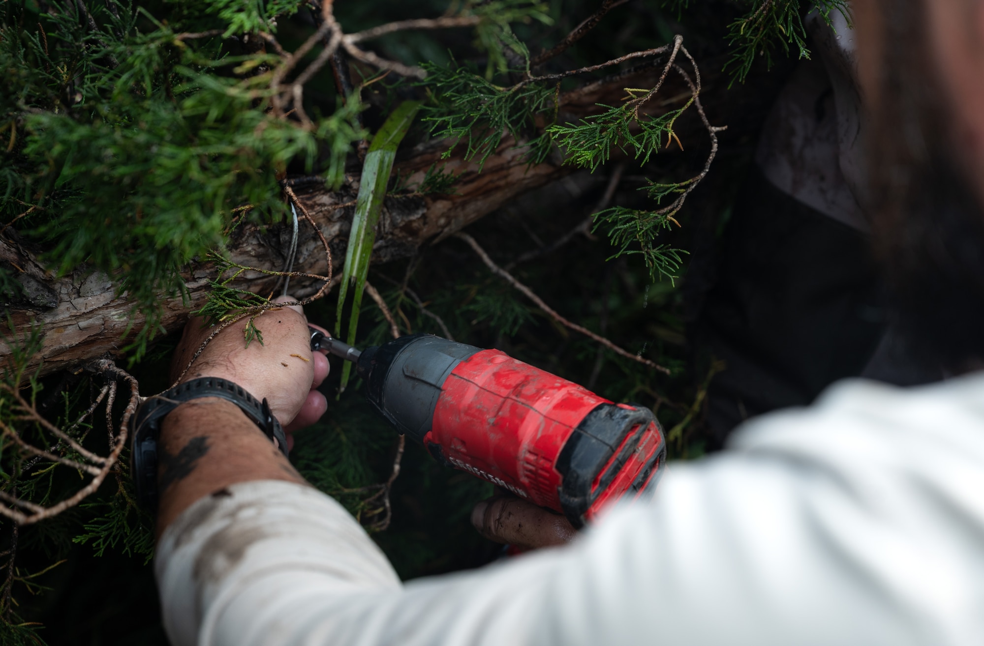 Nick King, U.S. Fish and Wildlife Service wildlife biologist, drills in screws to hold a red cedar in place along the bank of a creek during a bank revetment project June 11, 2025, at McConnell Air Force Base, Kansas. King worked with Airmen and civilians from the 22nd Civil Engineer Squadron and Center for Environmental Management of Military Lands during the project, which fought against erosion in a creek on the southern tip of McConnell that was threatening infrastructure. (U.S. Air Force photo by Staff Sgt. Tryphena Mayhugh)