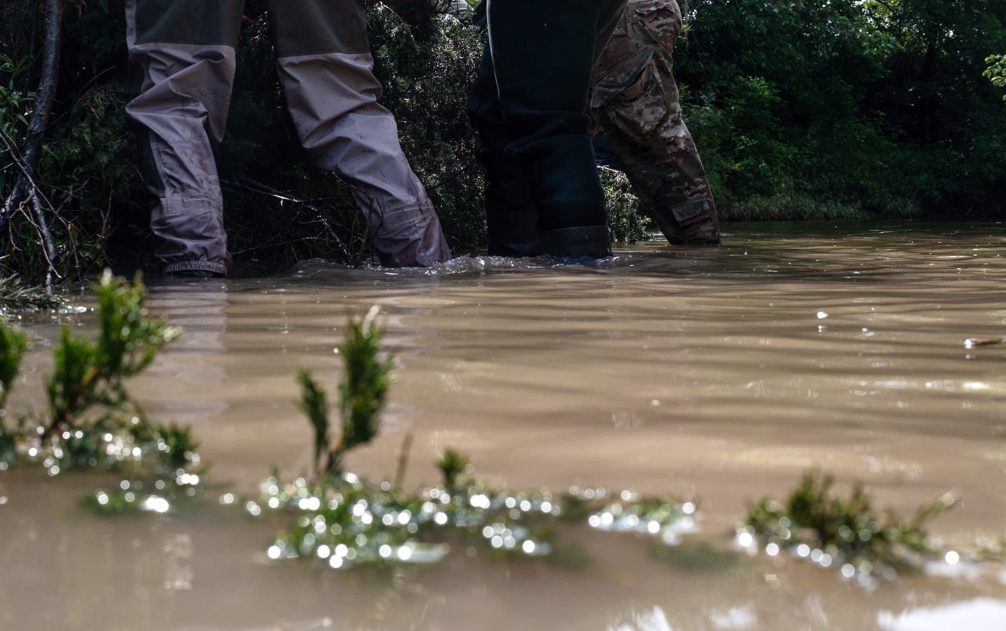 Participants of a bank revetment project secure a red cedar to the shoreline of a creek to prevent erosion June 11, 2025, at McConnell Air Force Base, Kansas. Airmen and civilians from the 22nd Civil Engineer Squadron, U.S. Fish and Wildlife Service, and Center for Environmental Management of Military Lands worked on the project to stabilize the bank of the creek where erosion was threatening infrastructure on the southern tip of McConnell.  (U.S. Air Force photo by Staff Sgt. Tryphena Mayhugh)