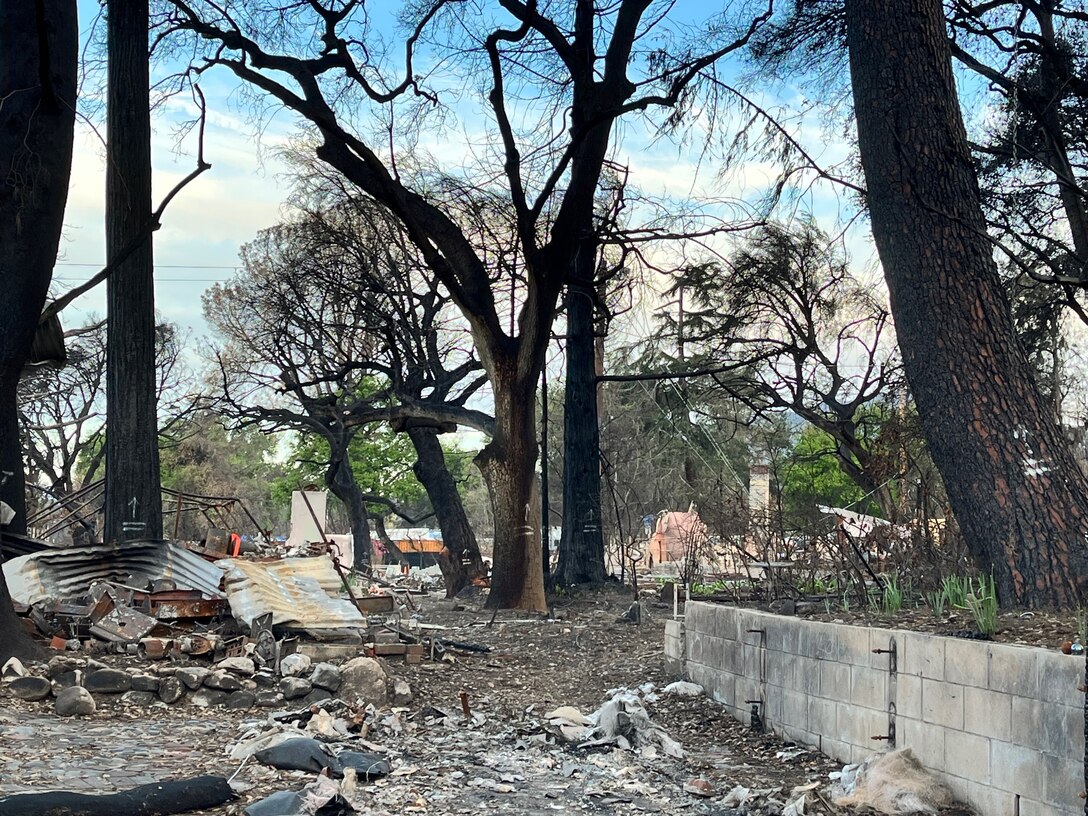 Charred trees and burned down structures are all that remains of this area after fire broke out in the Pacific Palisades neighborhood of Los Angeles and the unincorporated community of Altadena, killing at least 28 people and destroying more than 16,000 structures, Jan. 07, 2025.