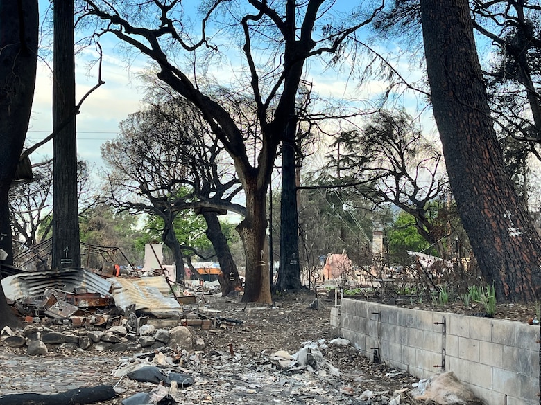 Charred trees and burned down structures are all that remains of this area after fire broke out in the Pacific Palisades neighborhood of Los Angeles and the unincorporated community of Altadena, killing at least 28 people and destroying more than 16,000 structures, Jan. 07, 2025.