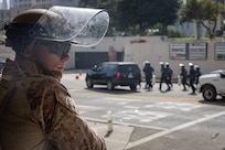 Federal Protection Mission