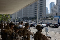 Federal Protection Mission