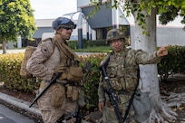 Federal Protection Mission