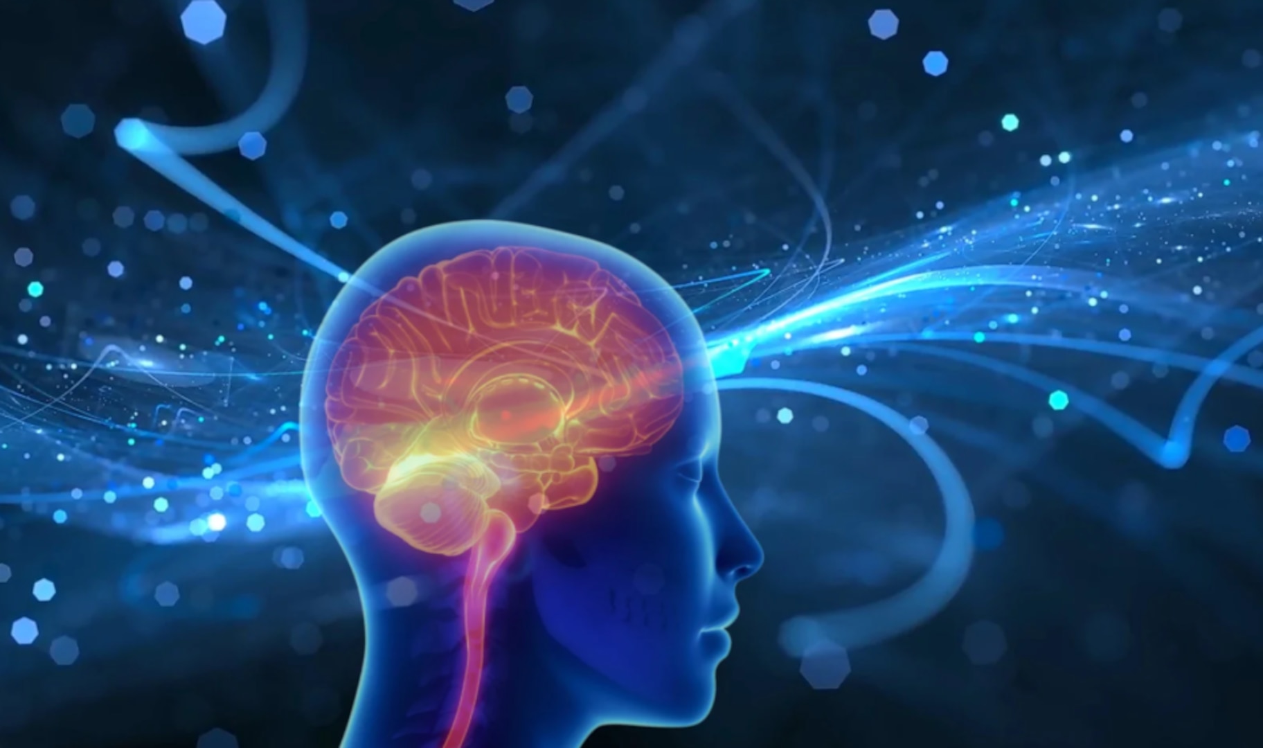 Illustration of a human head in profile with a glowing brain highlighted in red and orange, set against a futuristic blue digital background representing neural activity and data flow.