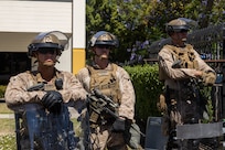 Federal Protection Mission