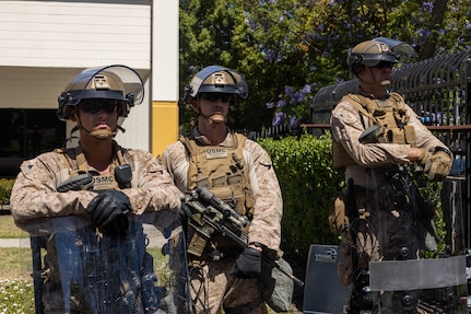 Federal Protection Mission