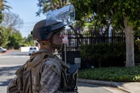 Federal Protection Mission