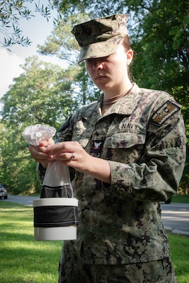 Hospital Corpsman Third Class Nikki Brown Wolff retrieves a mosquito trap Thursday, June 12, 2025, at Marine Corps Air Station Cherry Point. Assigned to Naval Health Clinic Cherry Point’s Preventive Medicine Department, Brown Wolff, a native of Las Vegas, Nevada, helps monitor mosquito populations to protect the base’s staff, residents and service members from disease. Collected mosquitoes are frozen and counted to assess their prevalence.