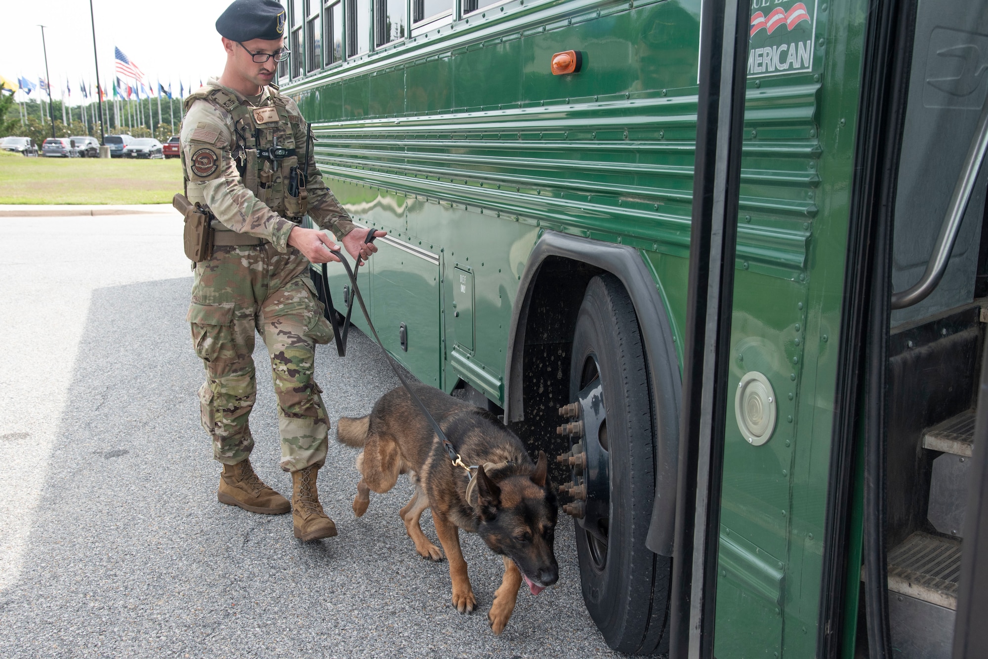 U.S. Air Force Staff Sgt. Colton M. Gabriel, 316th Security Support Squadron, and his working dog, Lucky, perform a security sweep on a bus arriving June 10, 2025, at Joint Base Andrews, Md. The bus was one of several being used to transport U.S. Army Soldiers from Andrews to Washington, D.C., to support the Army’s 250th Birthday Festival and Parade on June 14.