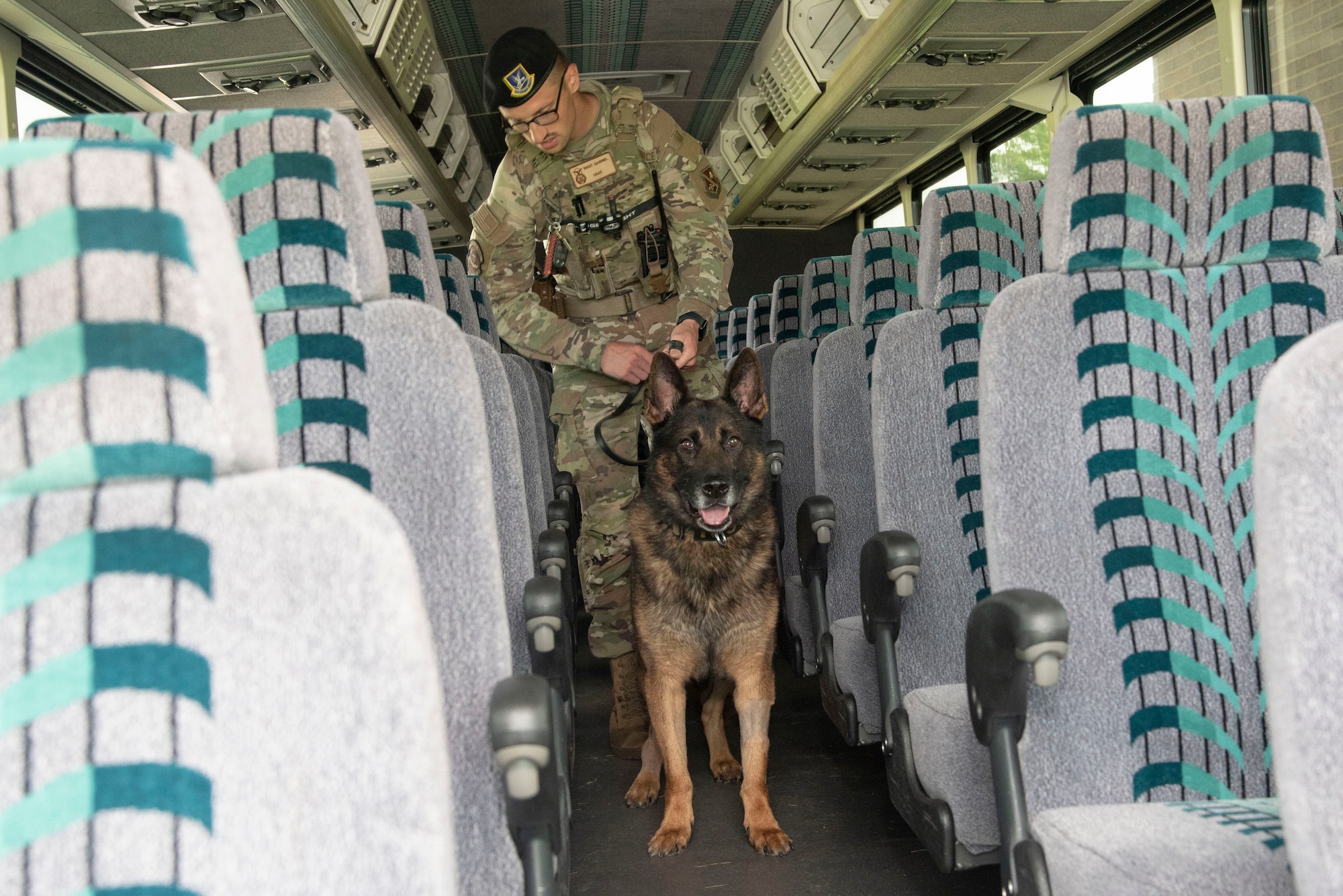 U.S. Air Force Staff Sgt. Colton M. Gabriel, 316th Security Support Squadron, and his working dog, Lucky, finish a security sweep on a bus arriving June 10, 2025, at Joint Base Andrews, Md. The bus was among several transporting U.S. Army Soldiers arriving at Andrews to participate in activities in Washington, D.C., celebrating the Army’s 250th birthday.
