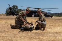 Preparing for the future fight: Training Army Reserve medical units for large-scale combat operations