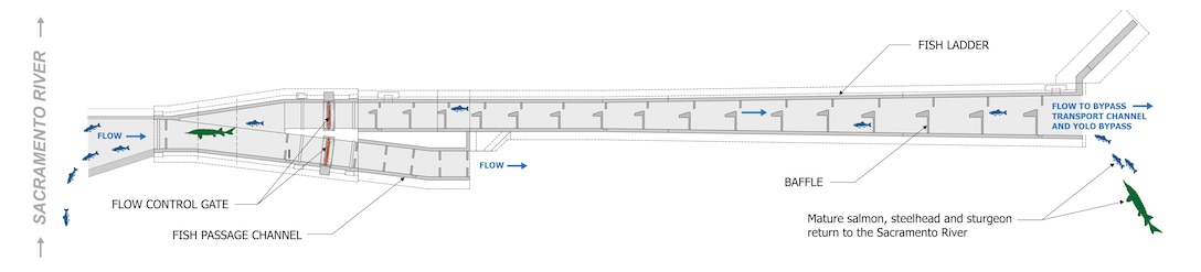A diagram shows an overhead view of the Sacramento Weir fish passage structure, displaying the dual-channel design with flow control gates, fish ladder and baffle system.