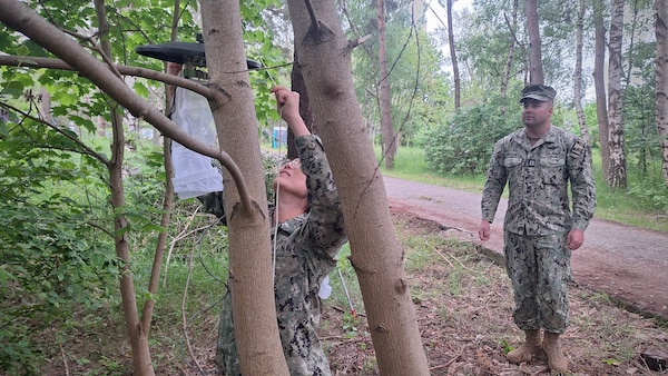 Lt. Xuan Li and Lt. Randy Buckley, assigned to Navy Environmental Preventive Medicine Unit TWO (NEPMU-2), hang up a light trap trap to monitor mosquito populations and assess potential vector-borne disease risks at Camp Turtle during BALTOPS25 in Liepaja, Latvia, June 6, 2025. BALTOPS 25 is the premier maritime-focused annual military exercise in the Baltic region and provides a unique opportunity to strengthen warfighting readiness and combat credibility critical to deterrence and preserving safety and security in the Baltic Sea.