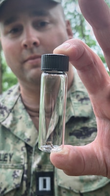 Lt. Randy Buckley, assigned to Navy Environmental Preventive Medicine Unit TWO (NEPMU-2), displays a mosquito specimen collected during field surveillance operations at Camp Turtle during BALTOPS25 in Liepaja, Latvia, June 6, 2025. BALTOPS 25 is the premier maritime-focused annual military exercise in the Baltic region and provides a unique opportunity to strengthen warfighting readiness and combat credibility critical to deterrence and preserving safety and security in the Baltic Sea.