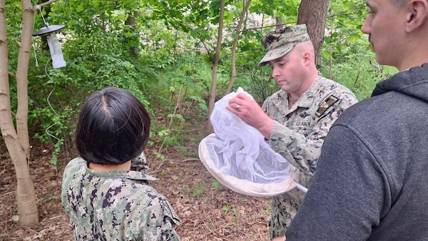 Lt. Xuan Li, Lt. Randy Buckley, and Hospital Corpsman 1st Class Nicolas Garhartt, assigned to Navy Environmental Preventive Medicine Unit TWO (NEPMU-2), hang up a light trap trap to monitor mosquito populations and assess potential vector-borne disease risks at Camp Turtle during BALTOPS25 in Liepaja, Latvia, June 6, 2025. BALTOPS 25 is the premier maritime-focused annual military exercise in the Baltic region and provides a unique opportunity to strengthen warfighting readiness and combat credibility critical to deterrence and preserving safety and security in the Baltic Sea.