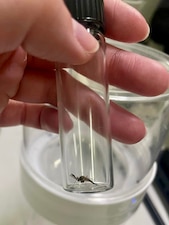 Hospital Corpsman 2nd Class Alexis Rivera, assigned to Navy Environmental Preventive Medicine Unit (NEPMU) 7, displays a collected mosquito specimen in a vial for identification and analysis during BALTOPS25 in Liepaja, Latvia, June 19, 2025. BALTOPS 25 is the premier maritime-focused annual military exercise in the Baltic region and provides a unique opportunity to strengthen warfighting readiness and combat credibility critical to deterrence and preserving safety and security in the Baltic Sea.