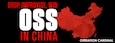 Drop, Improvise, Win: The OSS in China