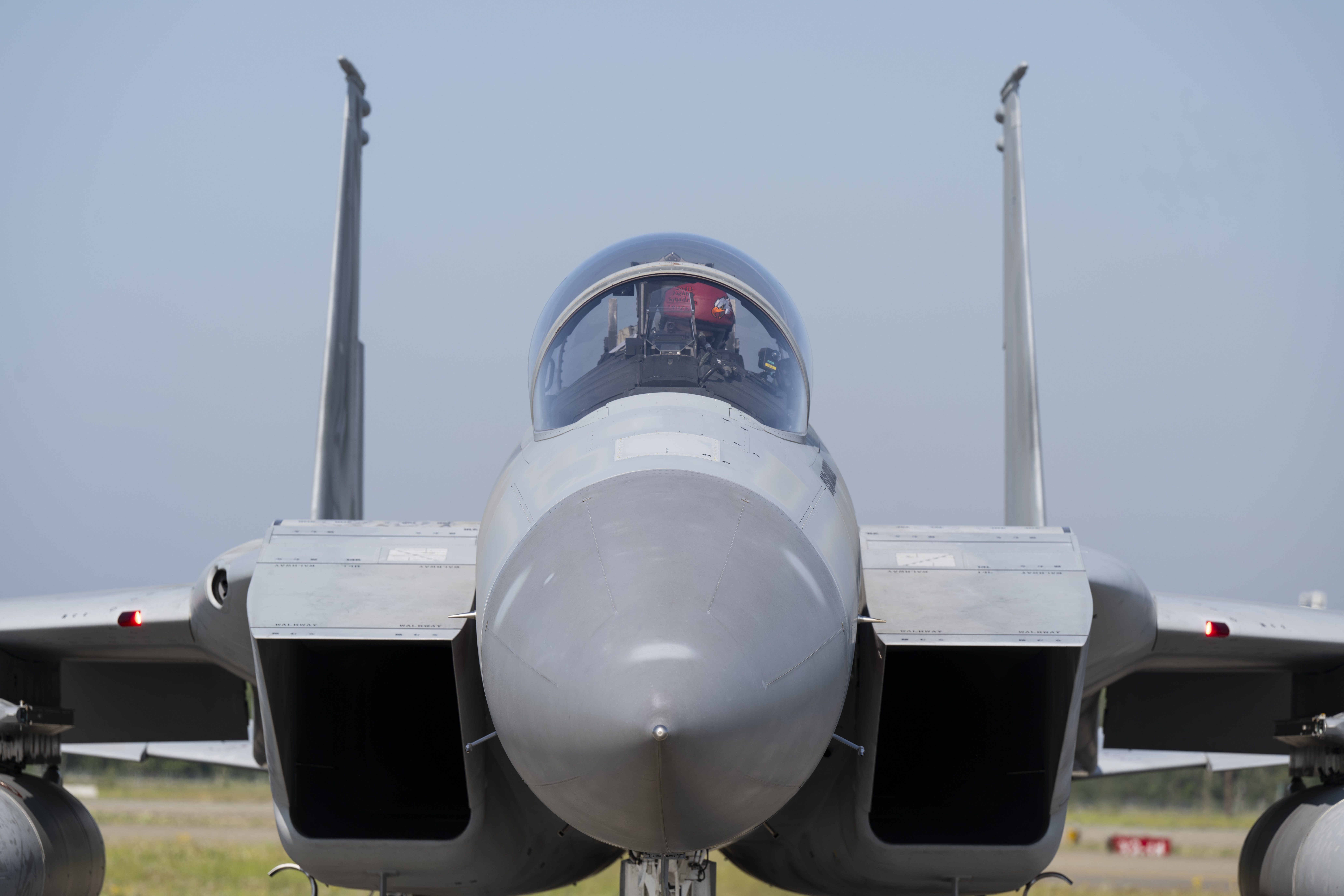 A Japan Air Self-Defense Force F-15J Eagle pilot prepares to taxi prior to takeoff during Red Flag-Alaska 25-2 at Eielson Air Force, Alaska, June 17, 2025. The exercise strengthens interoperability between the U.S., allies and partners while enhancing readiness for real-world operations. (U.S. Air Force photo by Staff Sgt. Daniel Brosam)