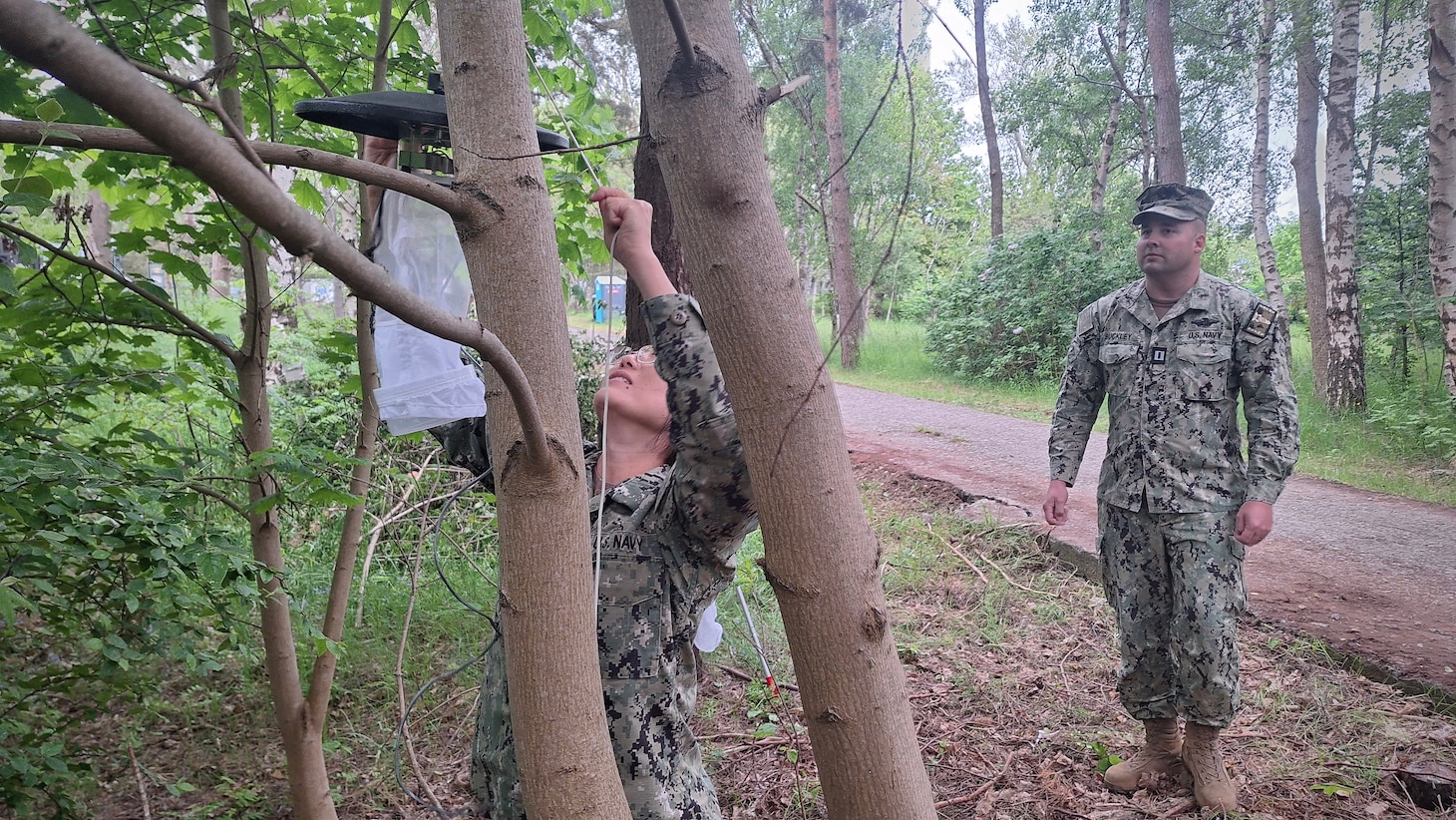Lt. Xuan Li and Lt. Randy Buckley, assigned to Navy Environmental Preventive Medicine Unit TWO (NEPMU-2), hang up a light trap trap to monitor mosquito populations and assess potential vector-borne disease risks at Camp Turtle during BALTOPS25 in Liepaja, Latvia, June 6, 2025. BALTOPS 25 is the premier maritime-focused annual military exercise in the Baltic region and provides a unique opportunity to strengthen warfighting readiness and combat credibility critical to deterrence and preserving safety and security in the Baltic Sea.