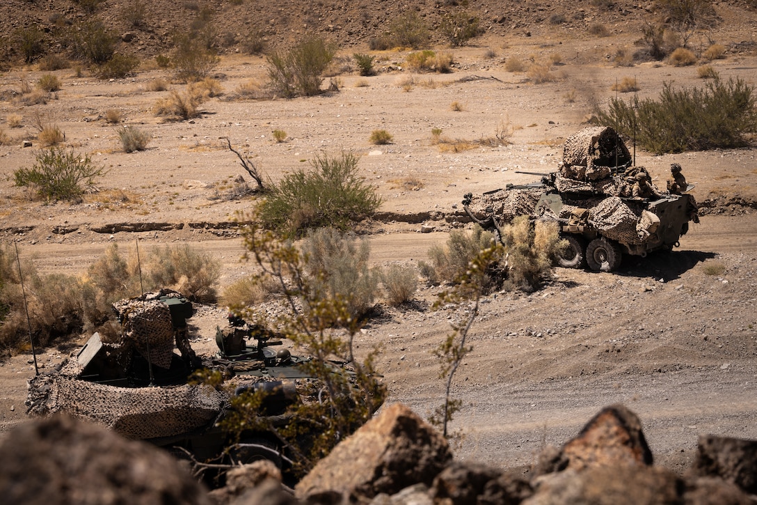 U.S. Marines with 4th Light Armored Reconnaissance Battalion, 4th Marine Division post security during Integrated Training Exercise 3-25 (ITX 3-25) at Marine Corps Air Ground Combat Center, Twentynine Palms, California, June 14th, 2025. ITX is a critical Marine Air-Ground Task Force exercise for the Marine Forces Reserve’s training cycle, confirming unit readiness through live-fire and combined arms integration. (U.S. Marine Corps photo by Lance Cpl. Edward Spears)