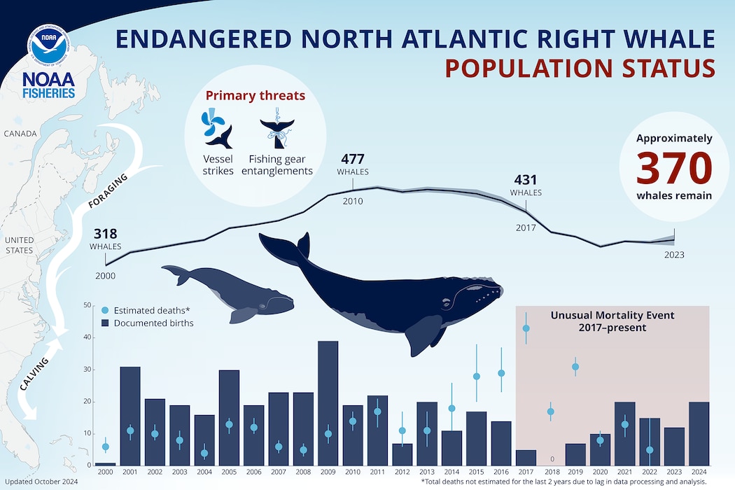 Diagram with data on the North American Right Whale