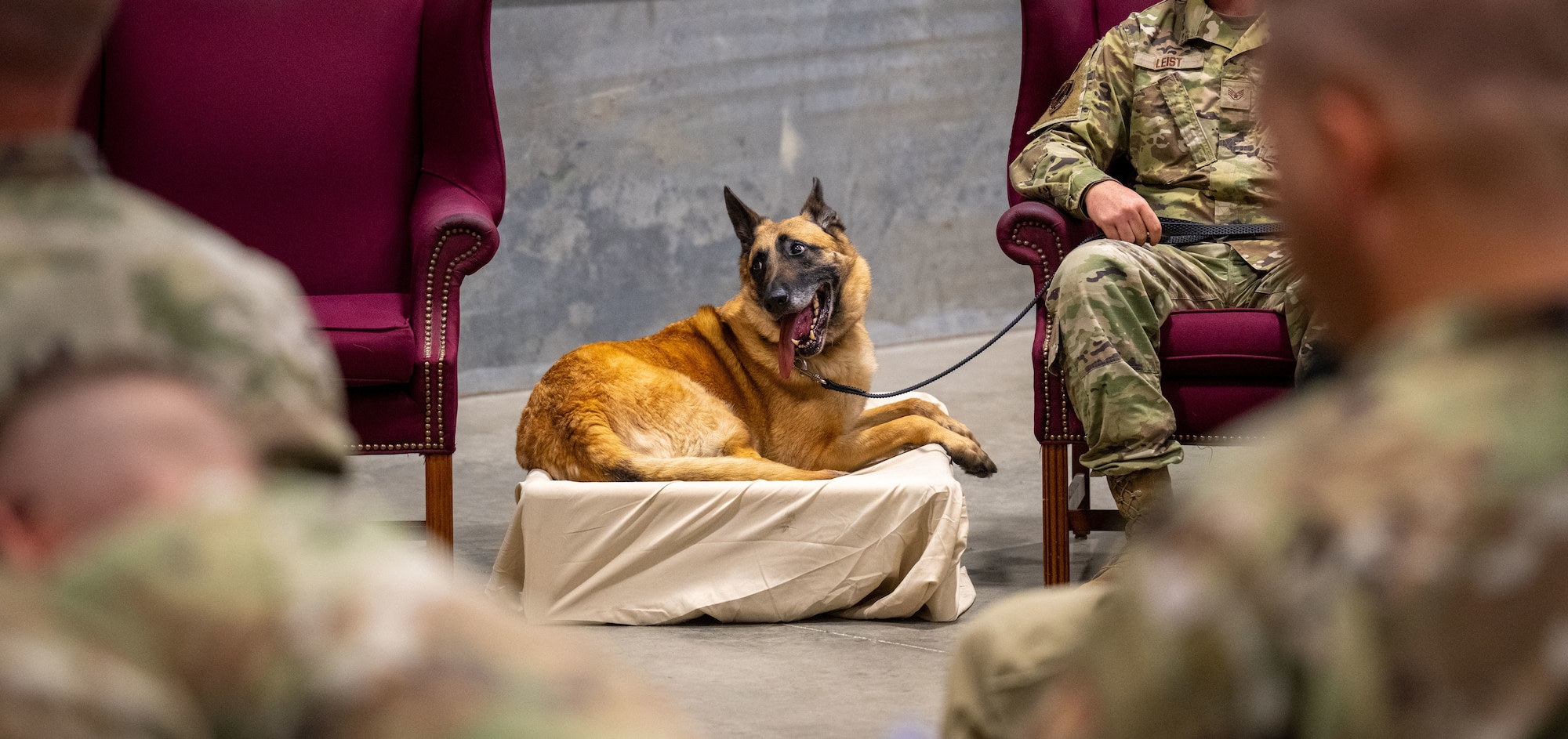 Military Working Dog Misha sits by her handler during her retirement ceremony June 10, 2025, at Wright-Patterson Air Force Base, Ohio. Misha worked more than 80 Secret Service missions, executed over 3,000 hours of anti-terrorism measures and delivered more than 100 canine demonstrations to the public. (U.S. Air Force photo by Jack Gardner)