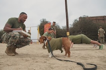 Marine Corps Recruit Depot San Diego and Western Recruiting Region