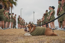 Marine Corps Recruit Depot San Diego and Western Recruiting Region