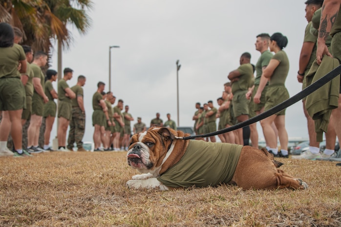 Marine Corps Recruit Depot San Diego and Western Recruiting Region