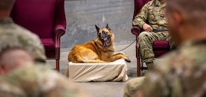 Military Working Dog Misha sits by her handler during her retirement ceremony June 10, 2025, at Wright-Patterson Air Force Base, Ohio. Misha worked more than 80 Secret Service missions, executed over 3,000 hours of anti-terrorism measures and delivered more than 100 canine demonstrations to the public. (U.S. Air Force photo by Jack Gardner)