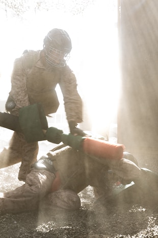 U.S. Marine Corps photo by Sgt. Trey Q. Michae