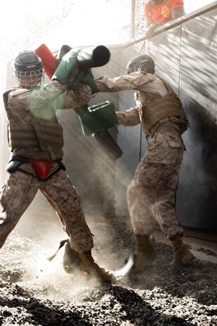 U.S. Marine Corps photo by Sgt. Trey Q. Michae