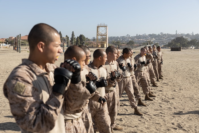 U.S. Marine Corps photo by Sgt. Trey Q. Michae