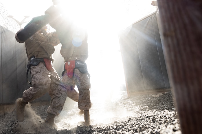 U.S. Marine Corps photo by Sgt. Trey Q. Michae
