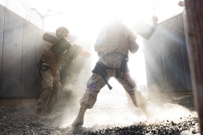 U.S. Marine Corps photo by Sgt. Trey Q. Michae