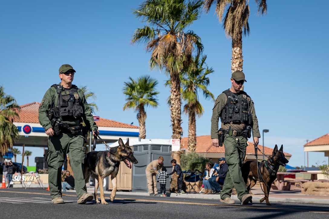 U.S. Marines with the Provost Marshal's Office Military Working Dog section, Marine Air-Ground Task Force Training Command, Marine Corps Air-Ground Combat Center, march in the 88th Annual Pioneer Days Parade at Twentynine Palms, California, Oct. 19, 2024. The Combat Center participated in the community event to provide Marines and Sailors a meaningful opportunity to forge connections with the local community, showcasing their commitment to service and camaraderie. (U.S. Marine Corps photo by Lance Cpl. Iris Gantt)