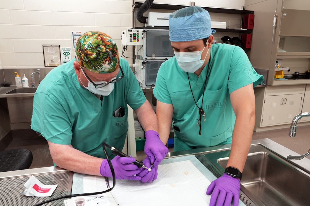 250508-N-ND850-1006 JOINT BASE SAN ANTONIO – FORT SAM HOUSTON – (May 8, 2025) – Research scientists Joseph Macaitis (left) and Dr. Daniel Thompson assigned to Naval Medical Research Unit (NAMRU) San Antonio’s Craniofacial Health and Restorative Medicine directorate, apply BoneTape to a tooth during an experiment at the Battlefield Health and Trauma Research Institute. BoneTape, a flexible, resorbable tape intended to stabilize broken bones around the face and head, has been a part of NAMRU San Antonio’s research portfolio since 2024. NAMRU San Antonio, part of Navy Medicine Research & Development, conducts gap-driven combat casualty care, craniofacial, and directed energy research in support of Navy, Marine Corps and joint U.S. warfighter health readiness and lethality while engaged in routine and expeditionary operations. (U.S. Navy photo by Burrell Parmer, NAMRU San Antonio Public Affairs/Released)
