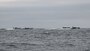 Naval Special Warfare Conducts Joint Training