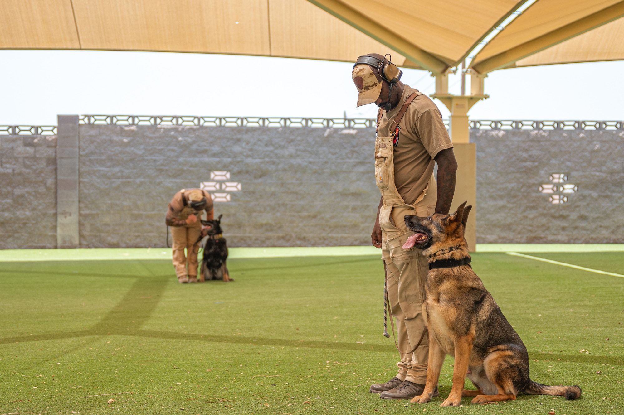 A service member trains a military working dog.