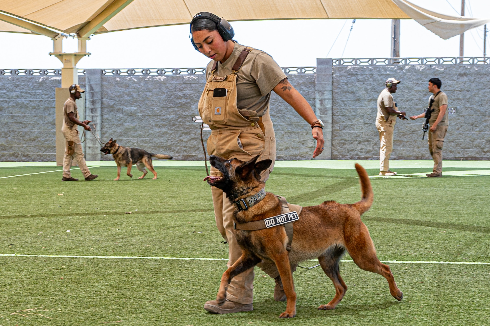 A service member trains a military working dog