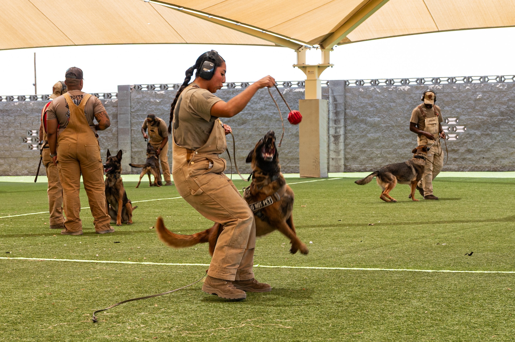 A service member trains a military working dog