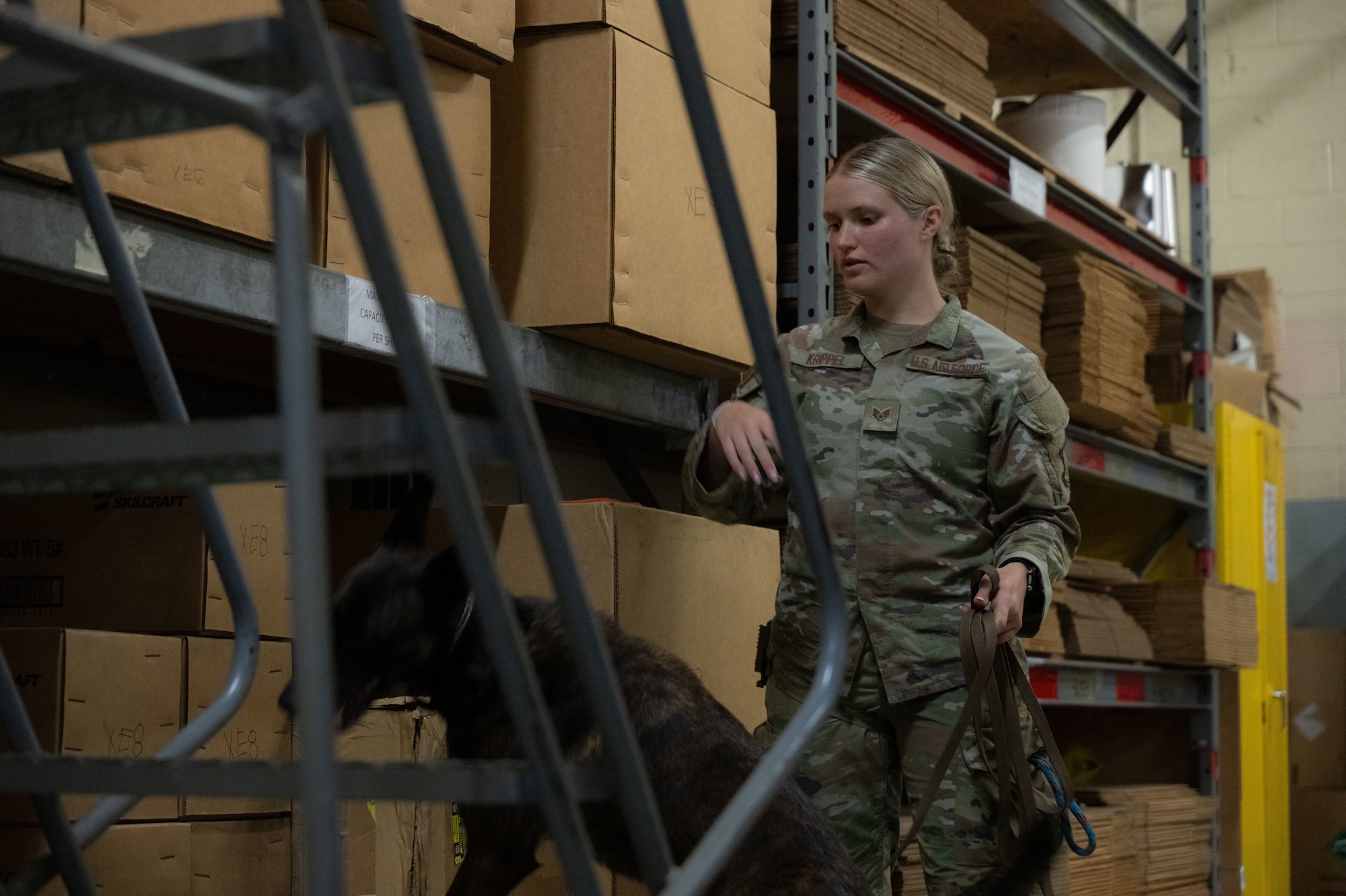 U.S. Air Force Staff Sgt. Alexis Krippel conducts a simulated explosive detection sweep with her military working dog, Dakota, at Joint Base Andrews, Maryland, on June 16, 2025. The demonstration was part of a leadership visit for the 316th Wing’s “Winnin’ Like a Griffin” recognition program.
