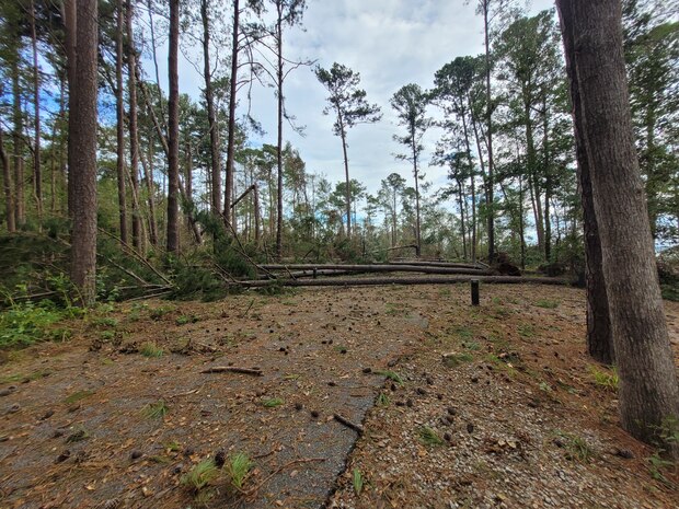 Ridge Road