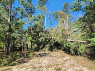 Ridge Road