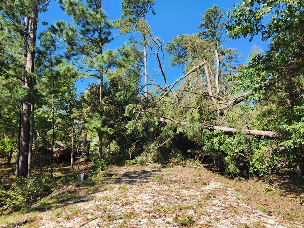 Ridge Road