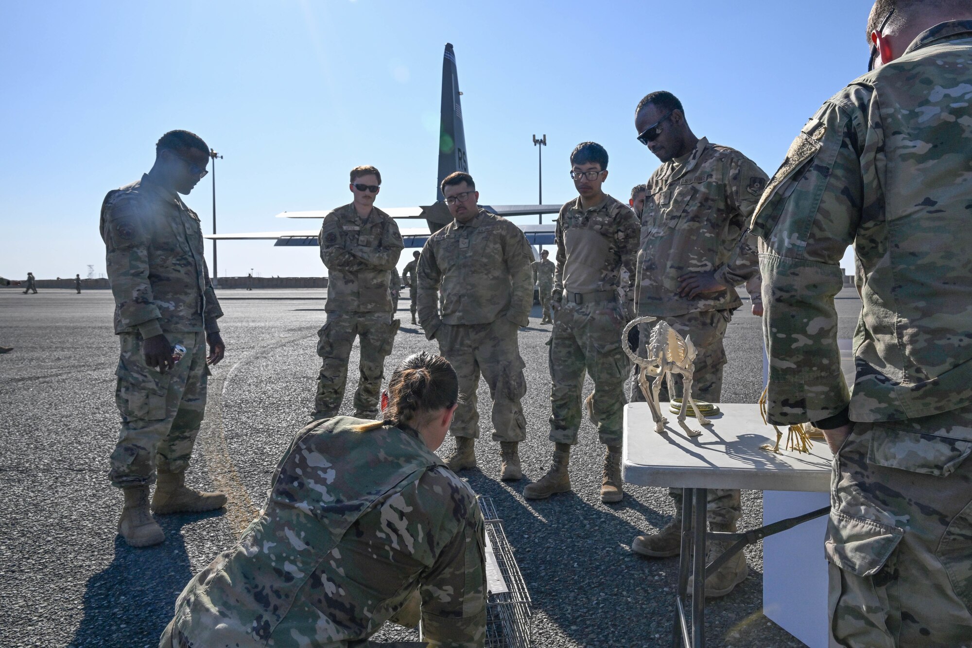 People in uniform conversate.