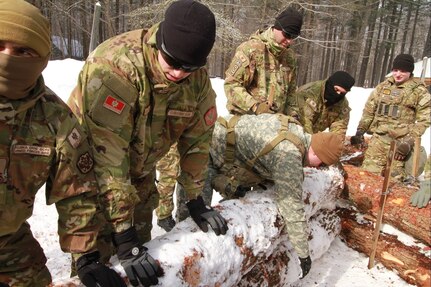 Soldiers from the Maine National Guard and Montenegro build up a log crib, a defensive device used by combat engineers to slow enemy movements, during a training exercise at the Bog Brook training area in Gilead, Maine, March 1, 2025. Maine and Montenegro are partners in the State Partnership Program.