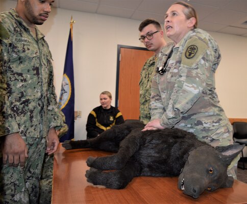 Canine Resuscitation for Corpsmen…Navy hospital corpsmen, along with Navy Medical Corps, Medical Service Corps and Nurse Corps officers assigned to Navy Medicine Readiness Training Unit Bangor, augmented their Tactical Combat Casualty Care proficiency learning from U.S. Army Veterinary Corps and animal care specialist about providing battlefield trauma care to military working dogs (Official Navy photo by Douglas H Stutz, NHB/NMRTC Bremerton public affairs officer).